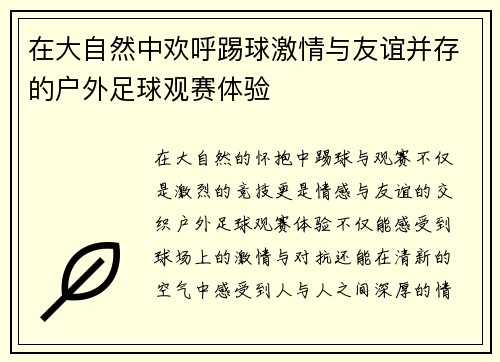 在大自然中欢呼踢球激情与友谊并存的户外足球观赛体验